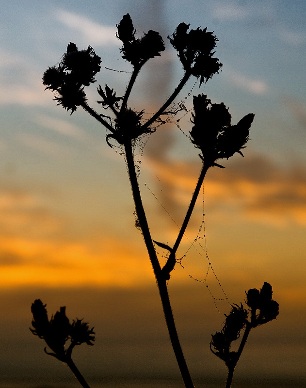 224 Sonne Bretagne 09-2012 D35_1184 als Smart-Objekt-1 Kopie.jpg
